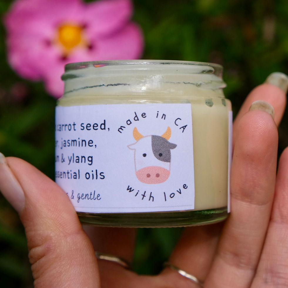 Thumbnail: Whipped Tallow Face Cream