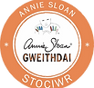 Annie Sloan Workshops (Gweithdai)