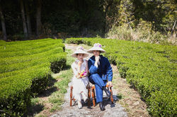 Akihiko ∞ Sayα Photo Wedding
