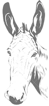Honkey head part of ECFS logo