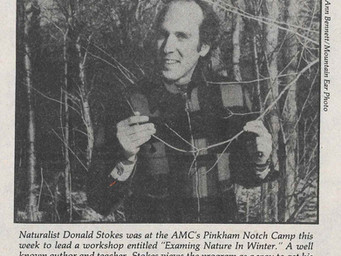 The Natural World of Donald Stokes