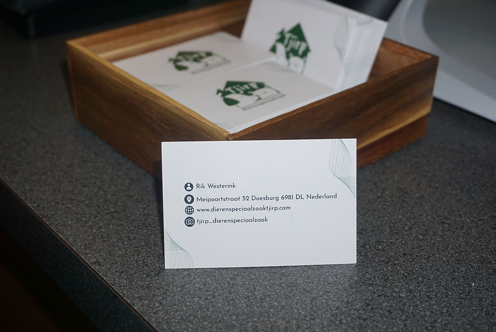 20251208_113300800_iOS