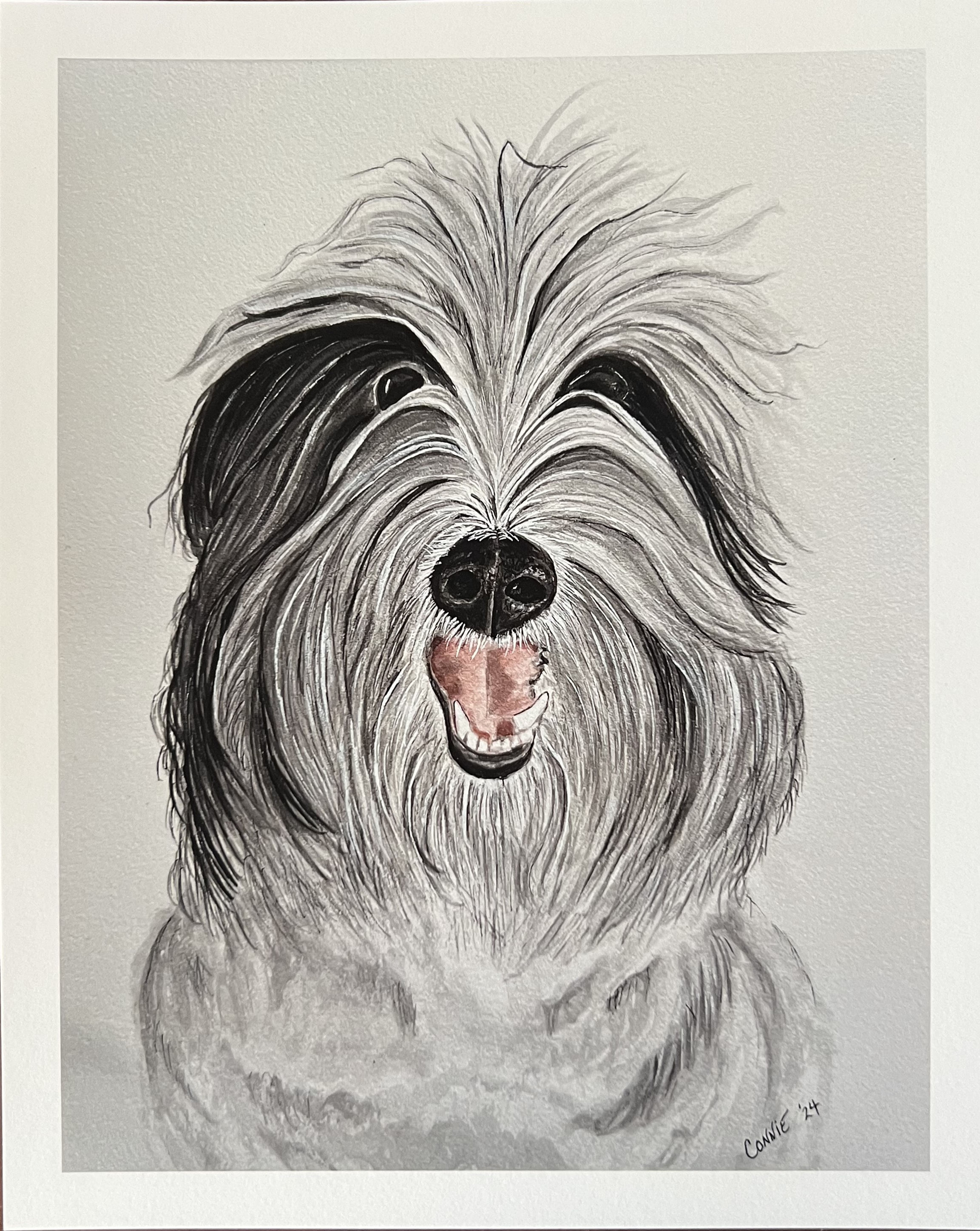 Aussie Doodle 8x10 Artist quality print