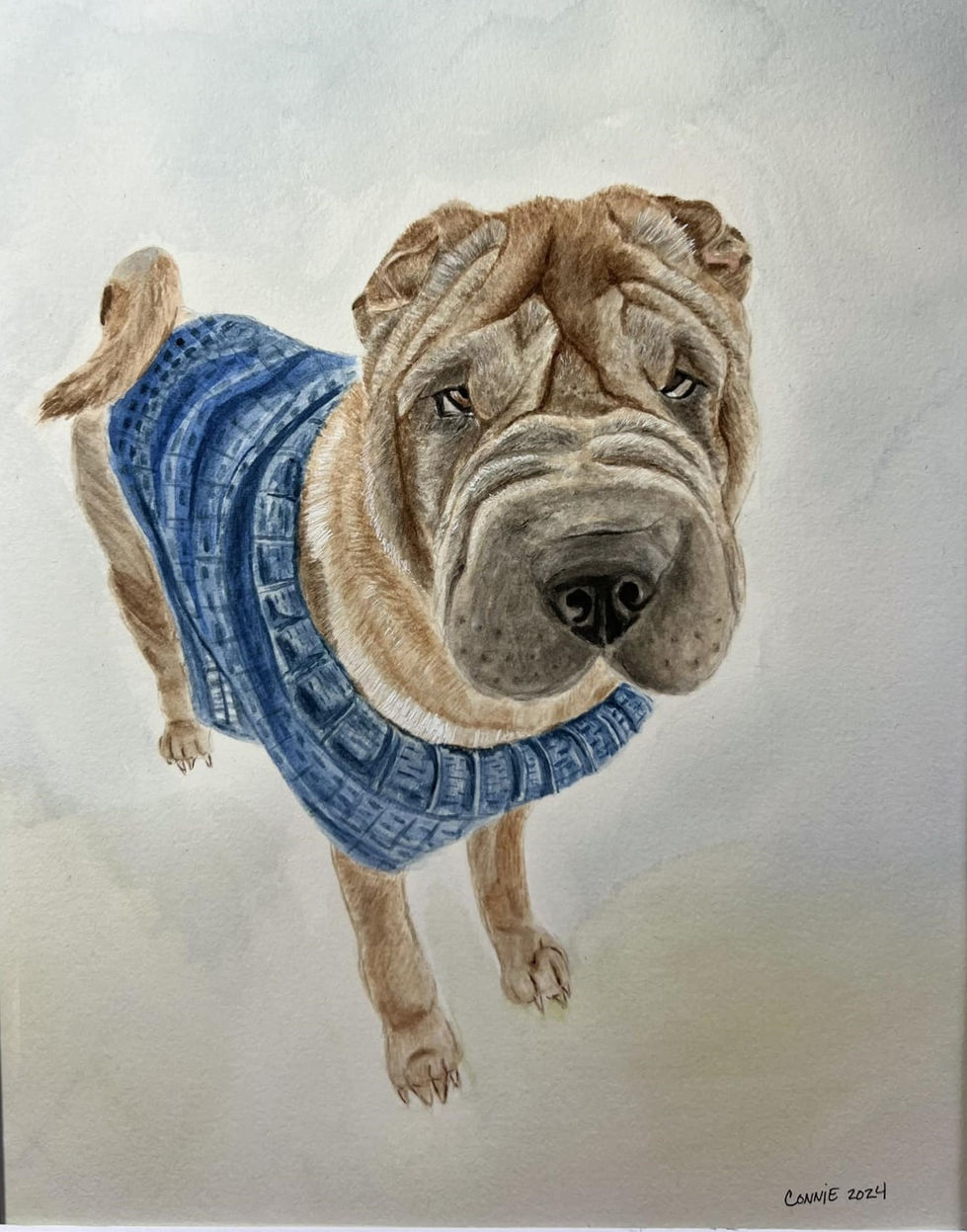 Otis