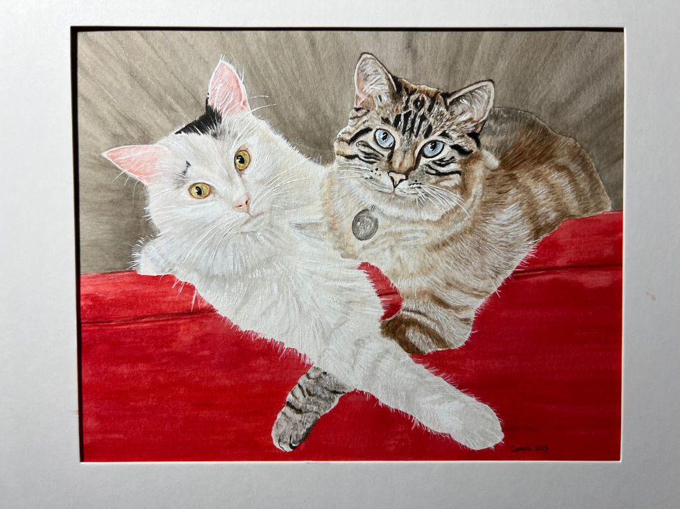 Two cats on the couch.