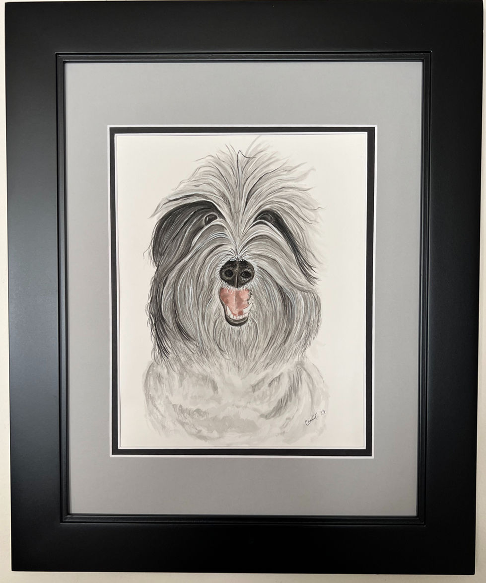 Aussie Doodle