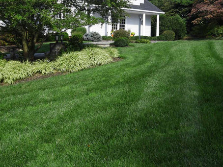 🔄 Give us one season, and we’ll give you a new lawn.