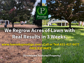 Greenlawn Renovation Seeding is On!