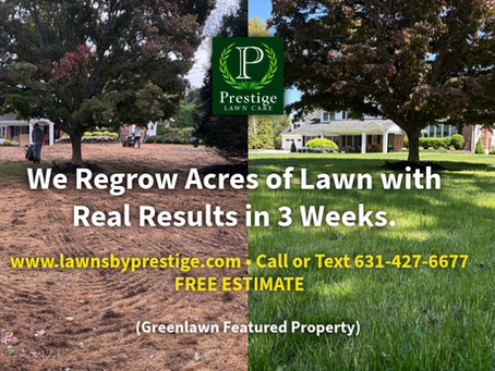 Greenlawn Renovation Seeding is On!
