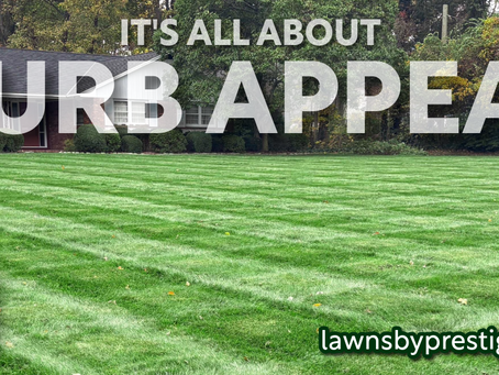 Transform your home from "just a house" to the star of the block! 🌟🏡