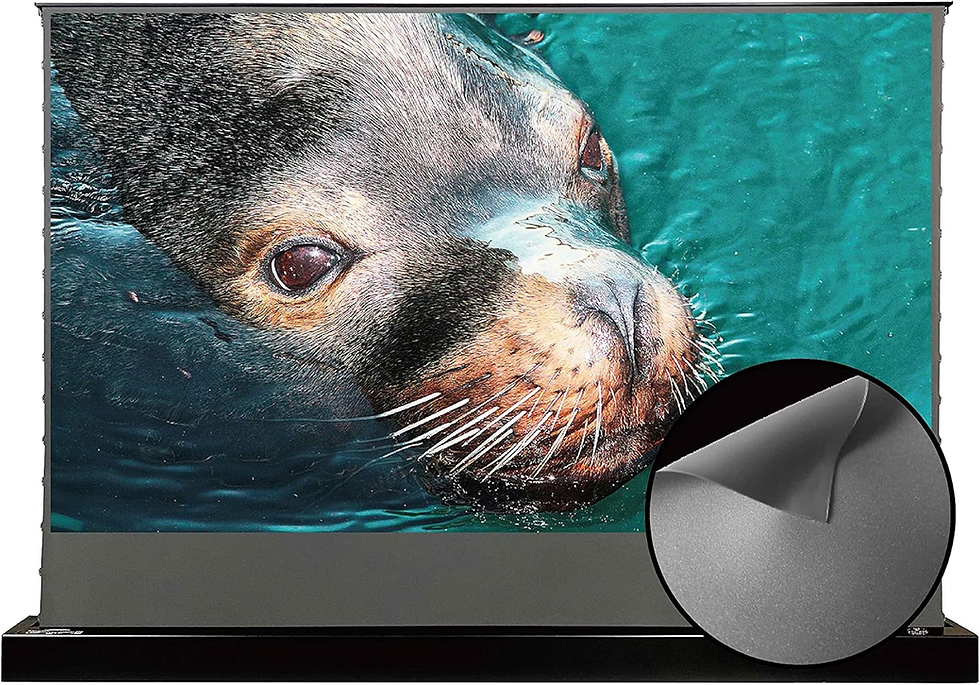 AWOL VISION 100インチ ALRスクリーン