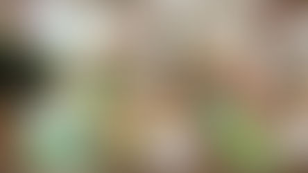 リビングでロボットが掃除機を使い、ゴミをレーザーで見せる。吹き出しで会話。「軽くて扱いやすい」「高価格」などの文字。