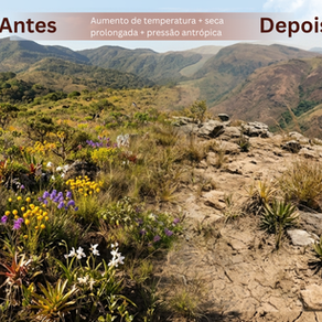 Montanhas brasileiras emitem alerta sobre lentidão na resposta às mudanças climáticas