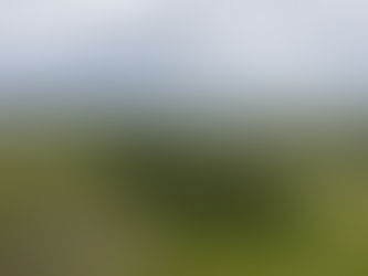 O fogo avassalador e as florestas do topo do Espinhaço