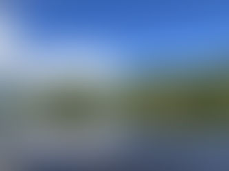 Sob pressão climática, Amazônia muda sua estratégia para sobreviver à seca, indica estudo