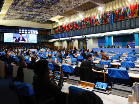 COP16.2 em Roma termina com acordo para financiar a conservação da biodiversidade