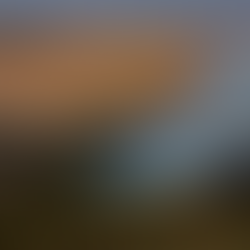 Brazil’s Cerrado to lose over 26 mln ha by 2050 unless protection law targets big landowners, researchers say