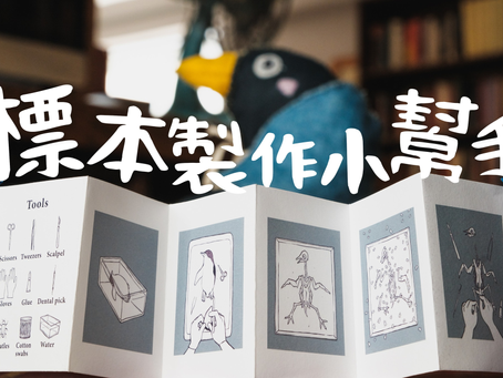 標本製作小幫手