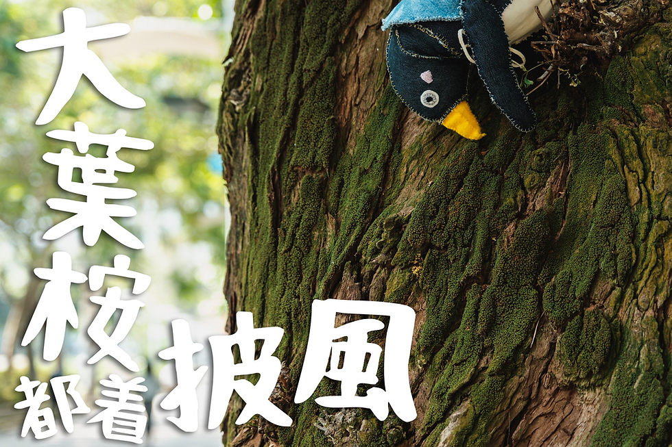 企鵝倚在大葉桉樹幹上,樹幹長滿苔蘚