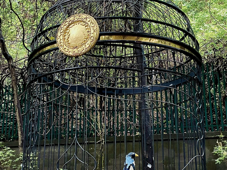 公園裏的冇掩雀籠