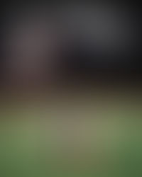 鵝掌玩轉滾軸溜冰