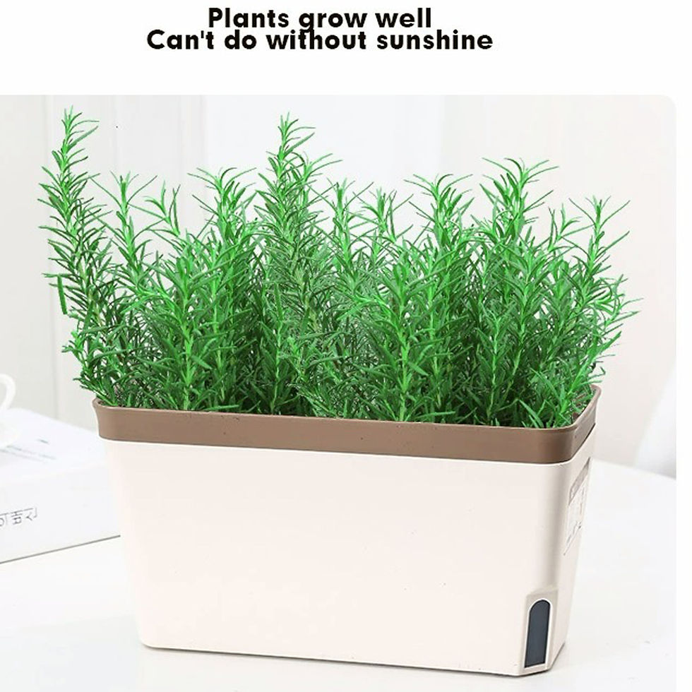 Thumbnail: HerbEase™ Self-Watering Planter