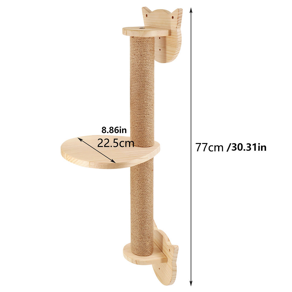 Thumbnail: Climb & Explore Wall-Mounted Cat Activity System - Modular Shelves and Platforms