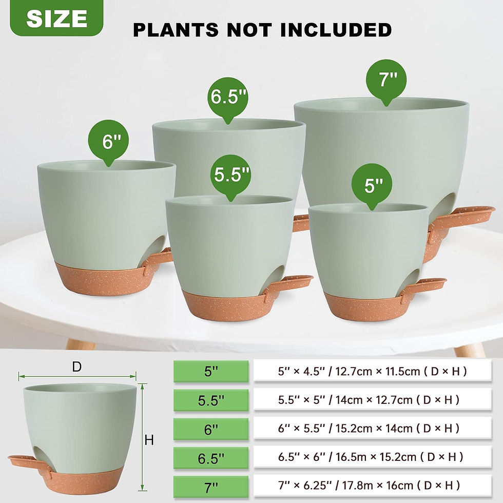 Thumbnail: The AquaReserve: Self-Watering Planter Collection