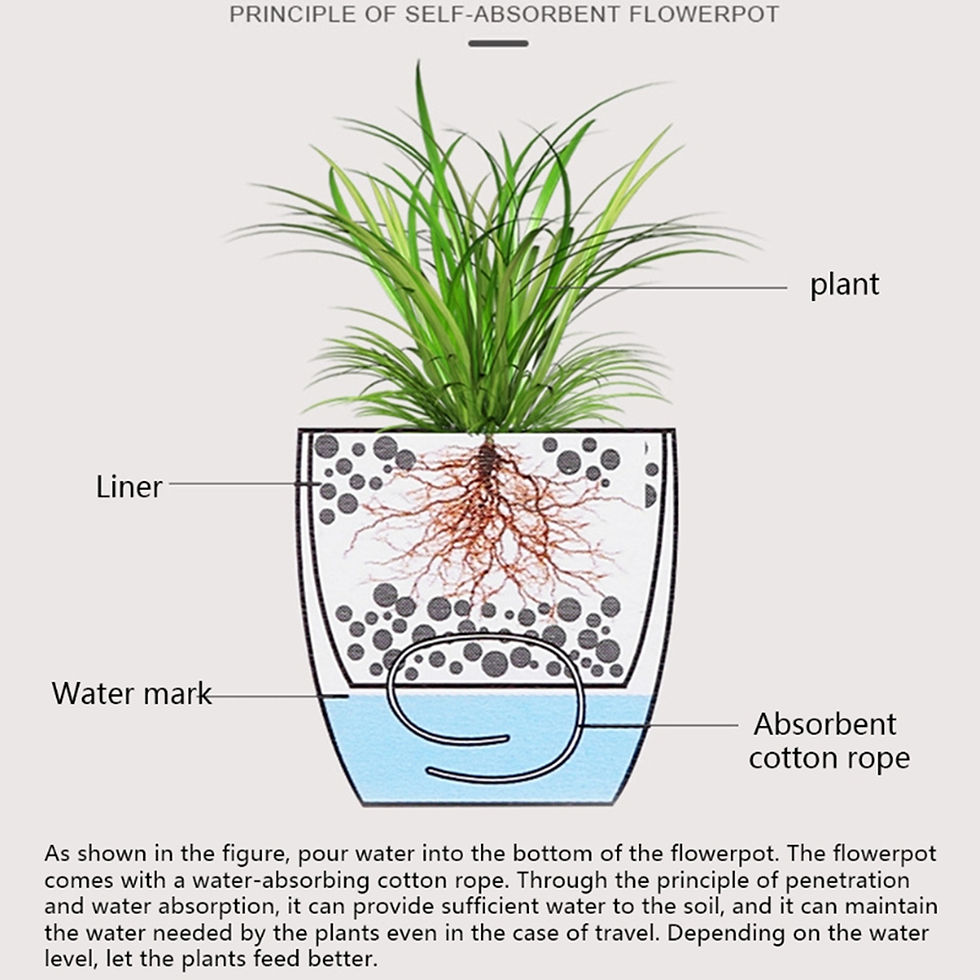 Thumbnail: Self Watering Planter White Flower Pot with Water Level Indicator White Self Wat