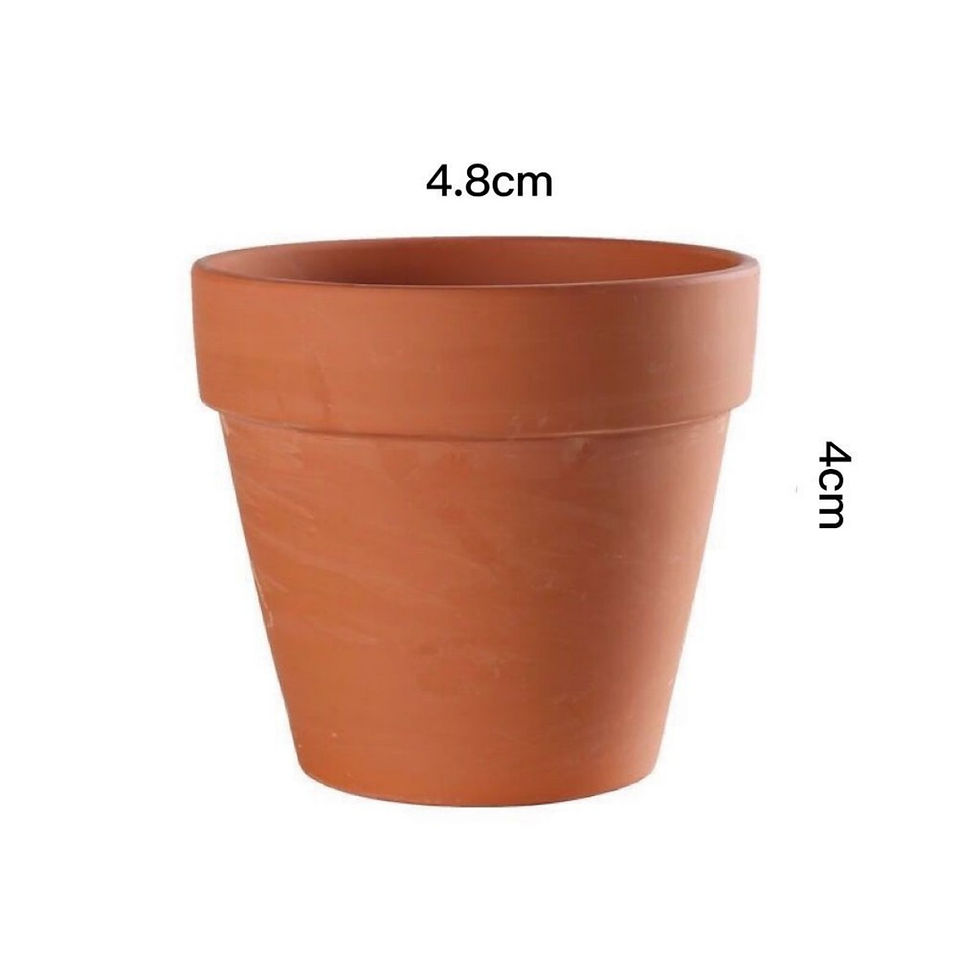 Thumbnail: TerraBloom™ Mini Clay Plant Pots