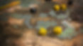 northholds-map.jpeg