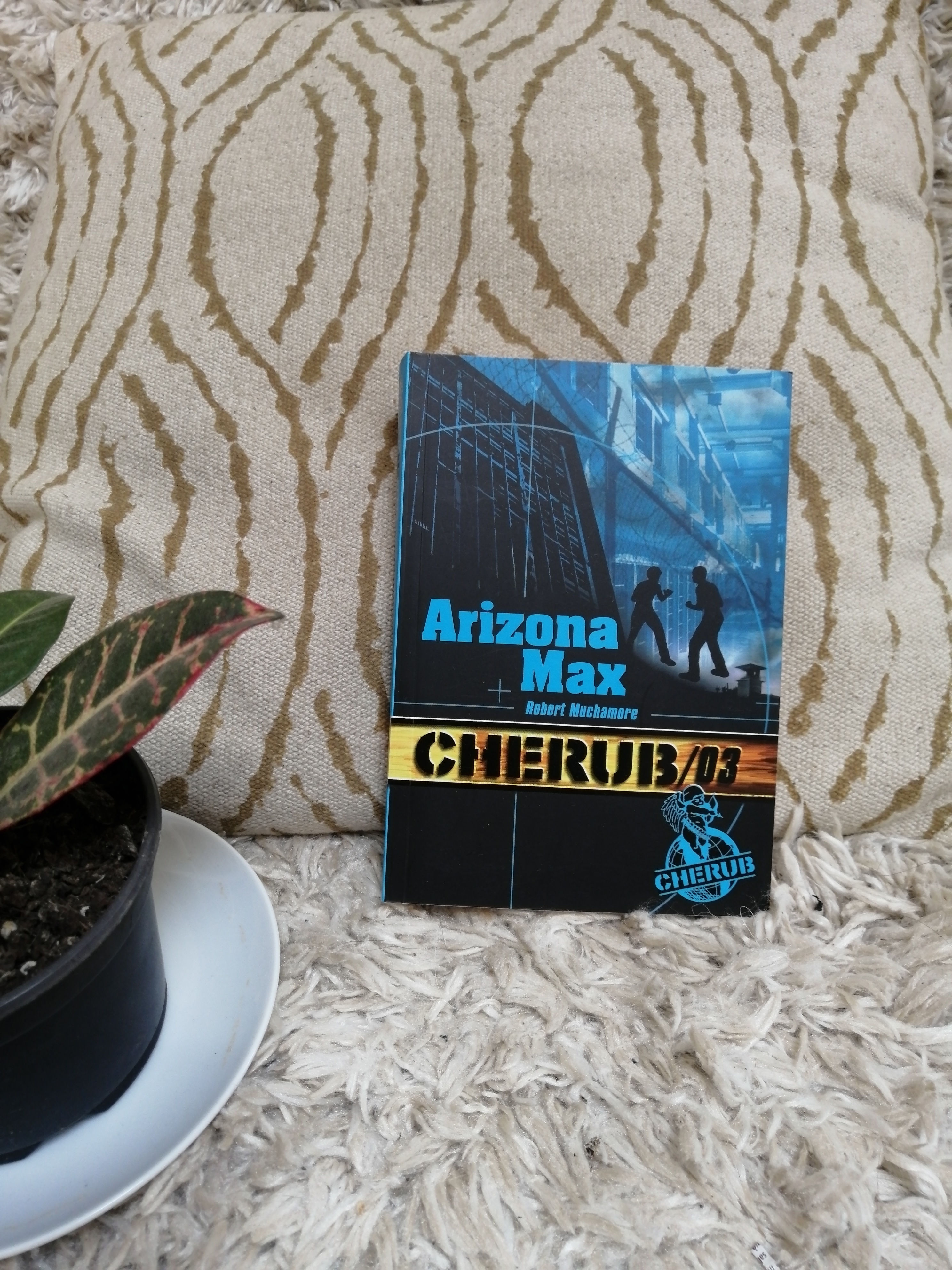 Cherub T3 - Robert Muchamore