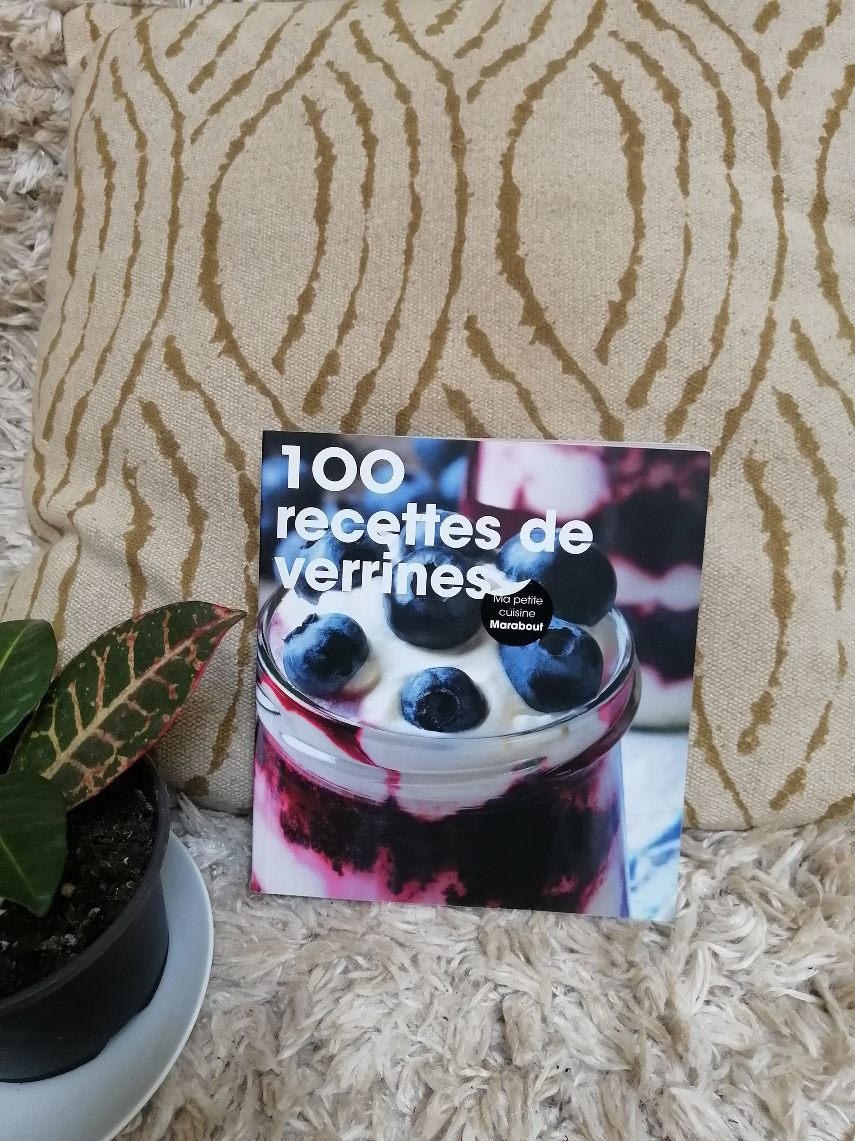 100 recettes de verrines - Marabout