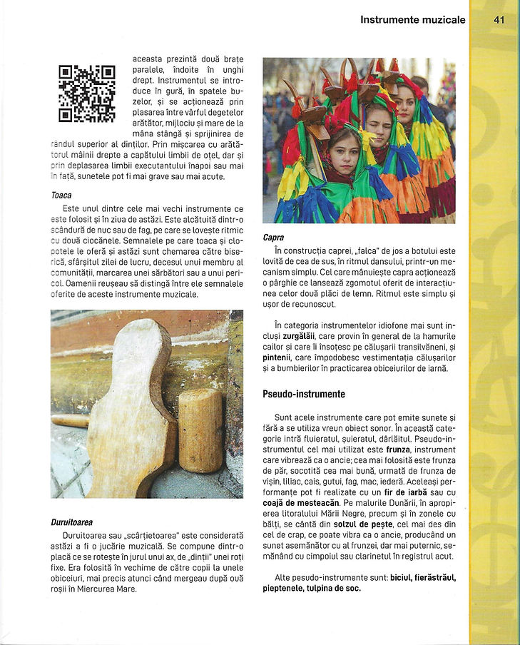 Instrumente populare 7.jpg