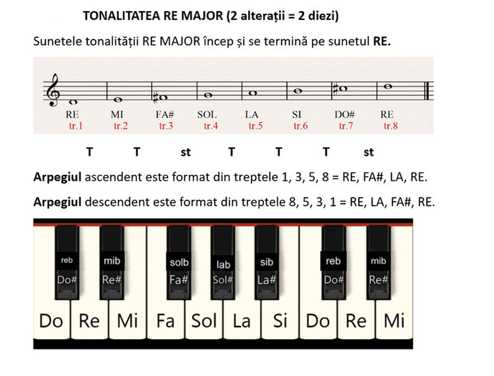 RE major LECTIE.jpg