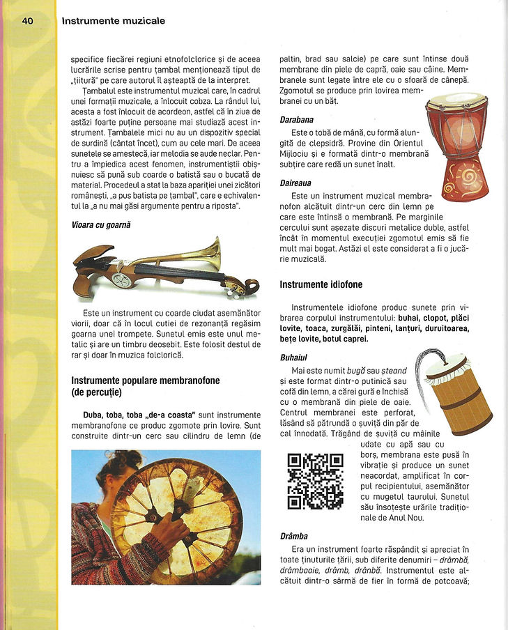 Instrumente populare 6.jpg