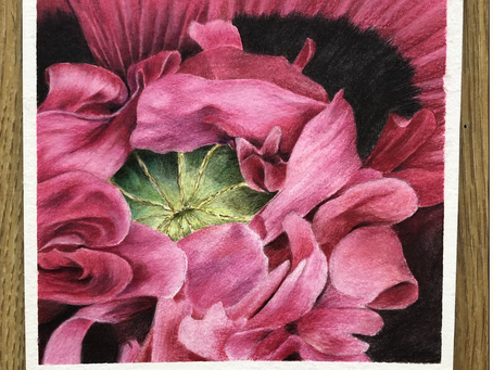 Coloured pencils
