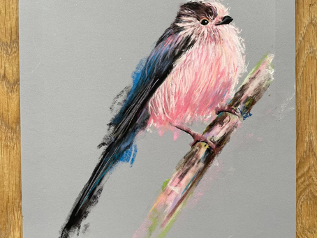 Ruffling feathers