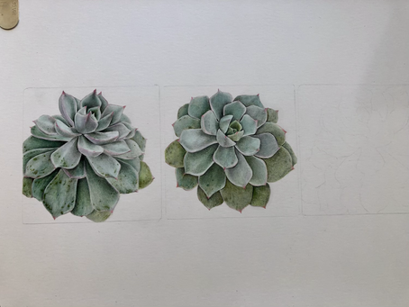 WIP