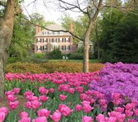 Sherwood Gardens.1.jpeg