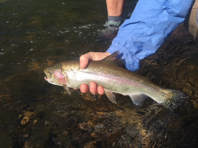 On The Rivers
