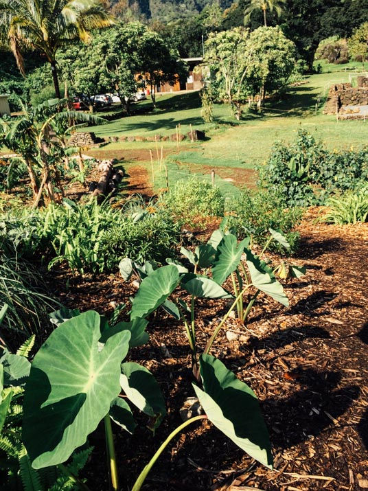Papahana Kuaola