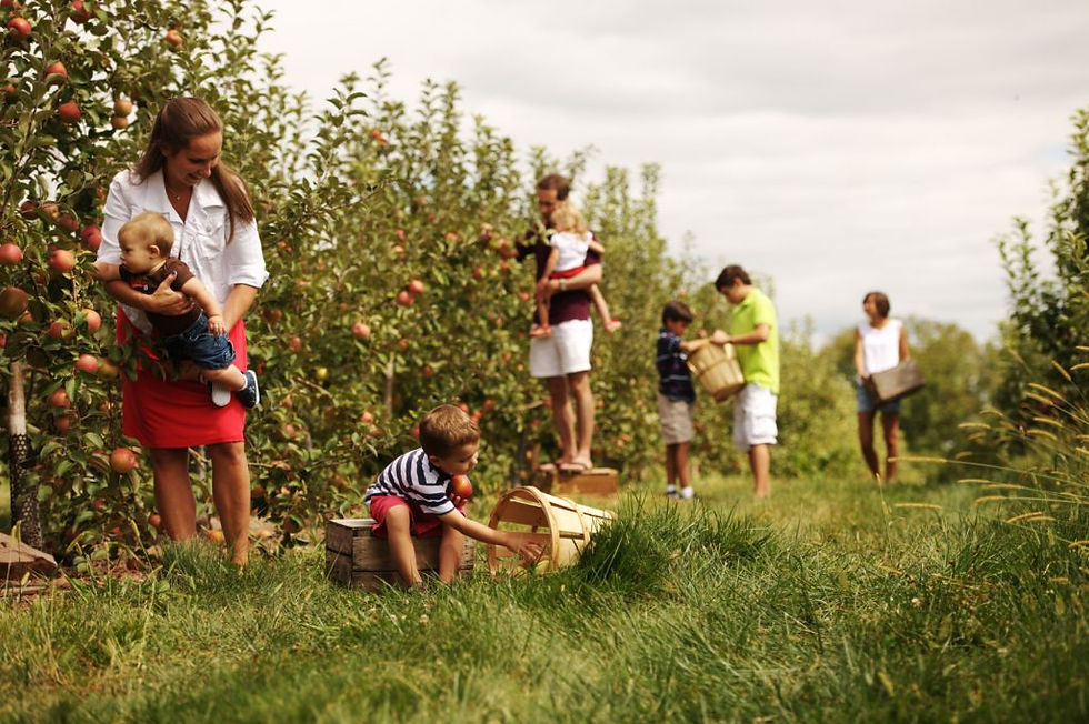 family-friendly restaurants in gettysburg