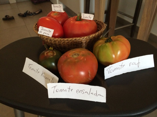 land of tomatoes