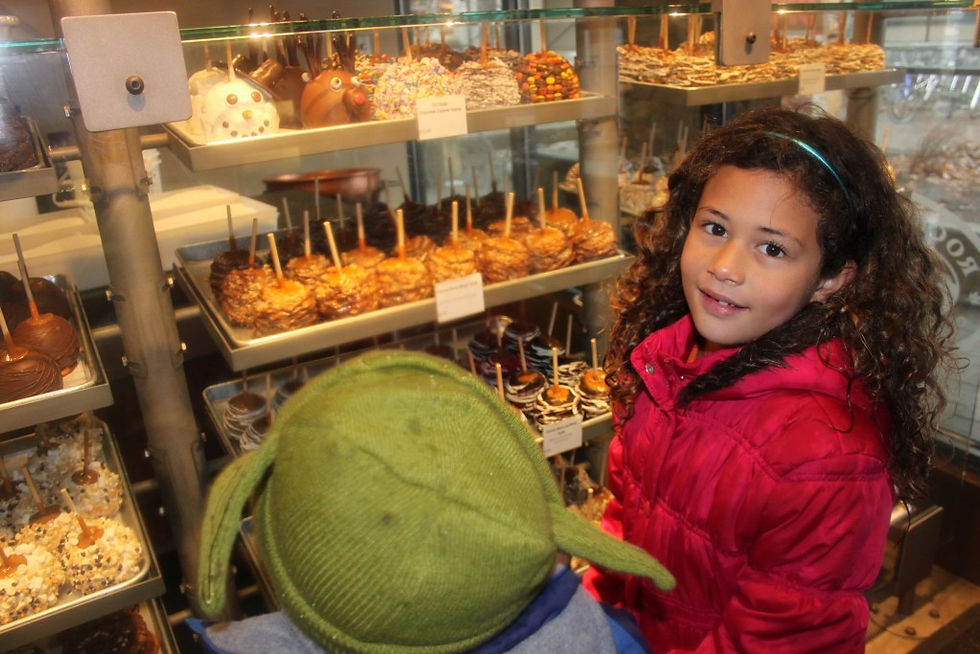 rocky mountain chocolate factory