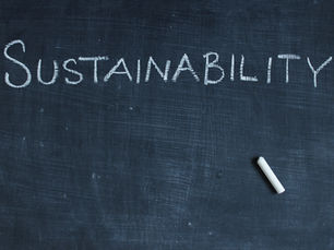 Igniting Sustainable Minds: The Transformative Power of the Sustainable Consumption Workshop