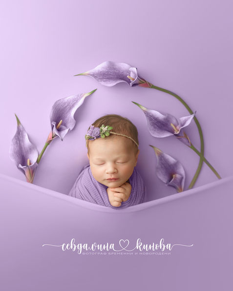 Newborn photography setup with purple backdrop, wrap and floral styling by Divine Props Design