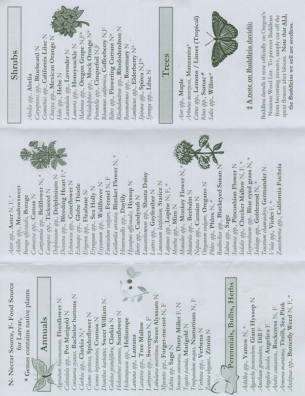 Portland Nursery Butterfly list.jpeg