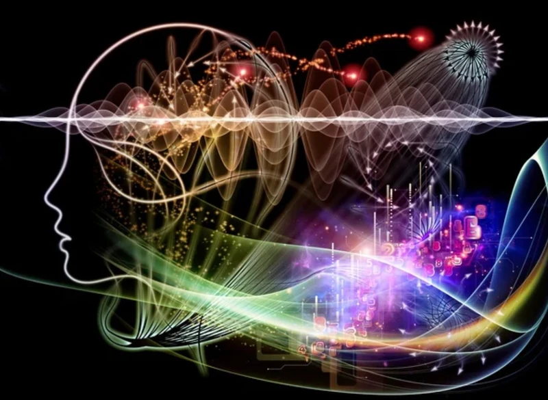 A picture of the brain activities