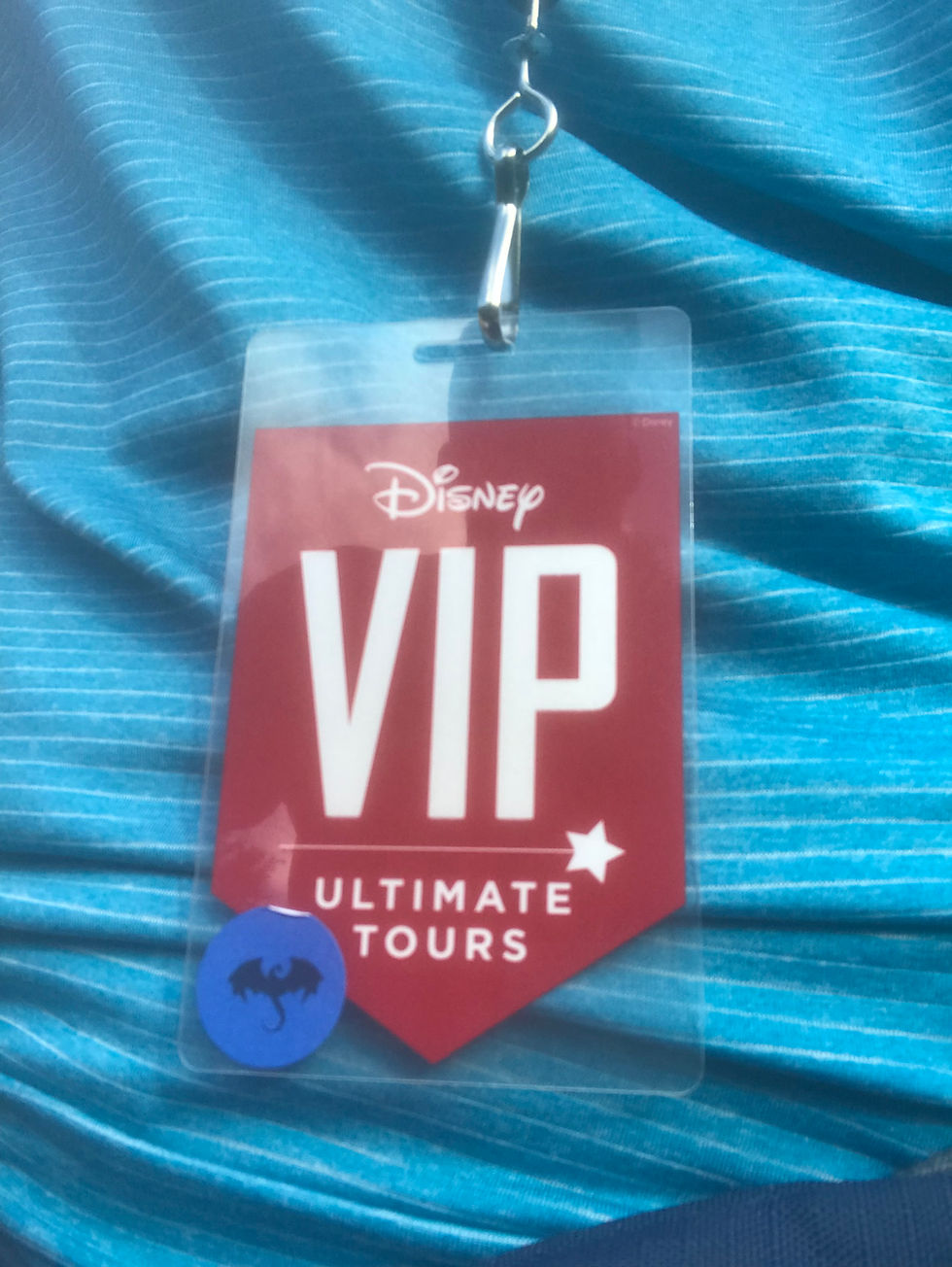Disney VIP